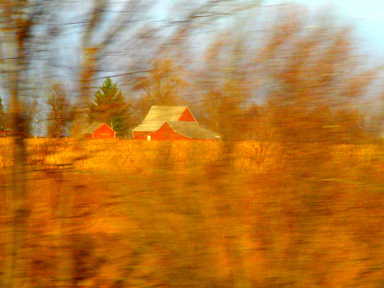 roadside roadside