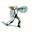 Randall Casaer's avatar