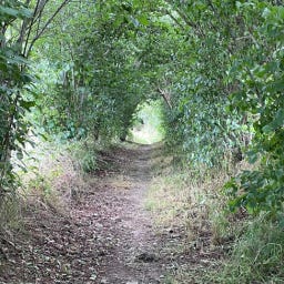 The way through: small victories