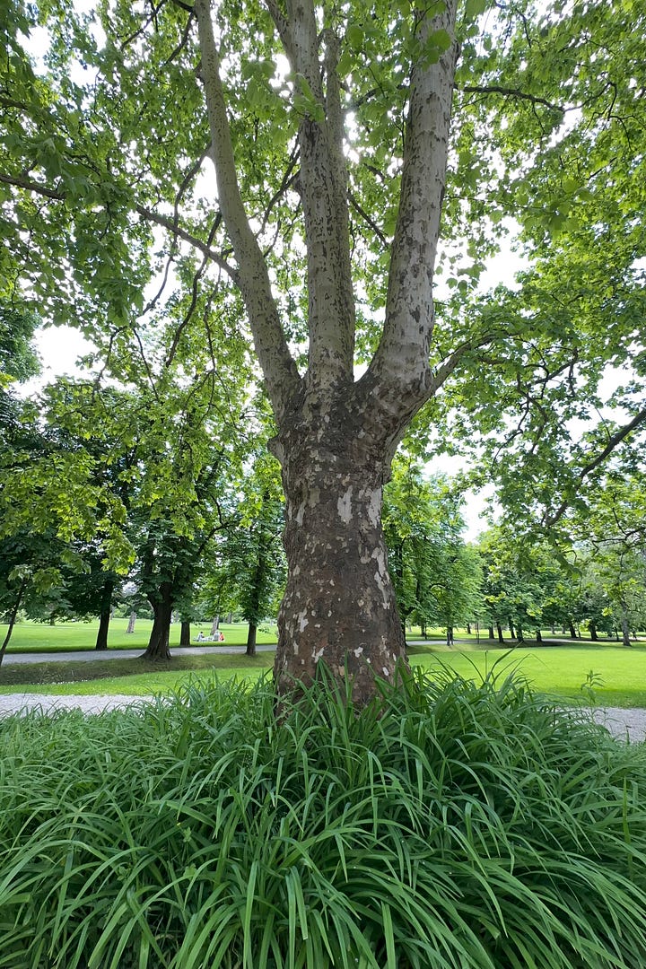 1200 acre park just short walk from hotel