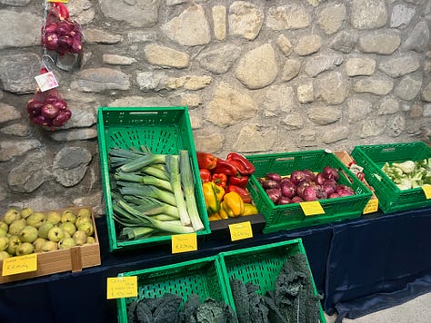 Food-Giant-slaying tools: vegetables and pulses