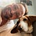 Brian Vaughn's avatar