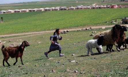 A girl herding animals in the all-women village of Jinwar.