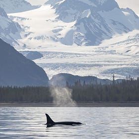 Москва и Аляска