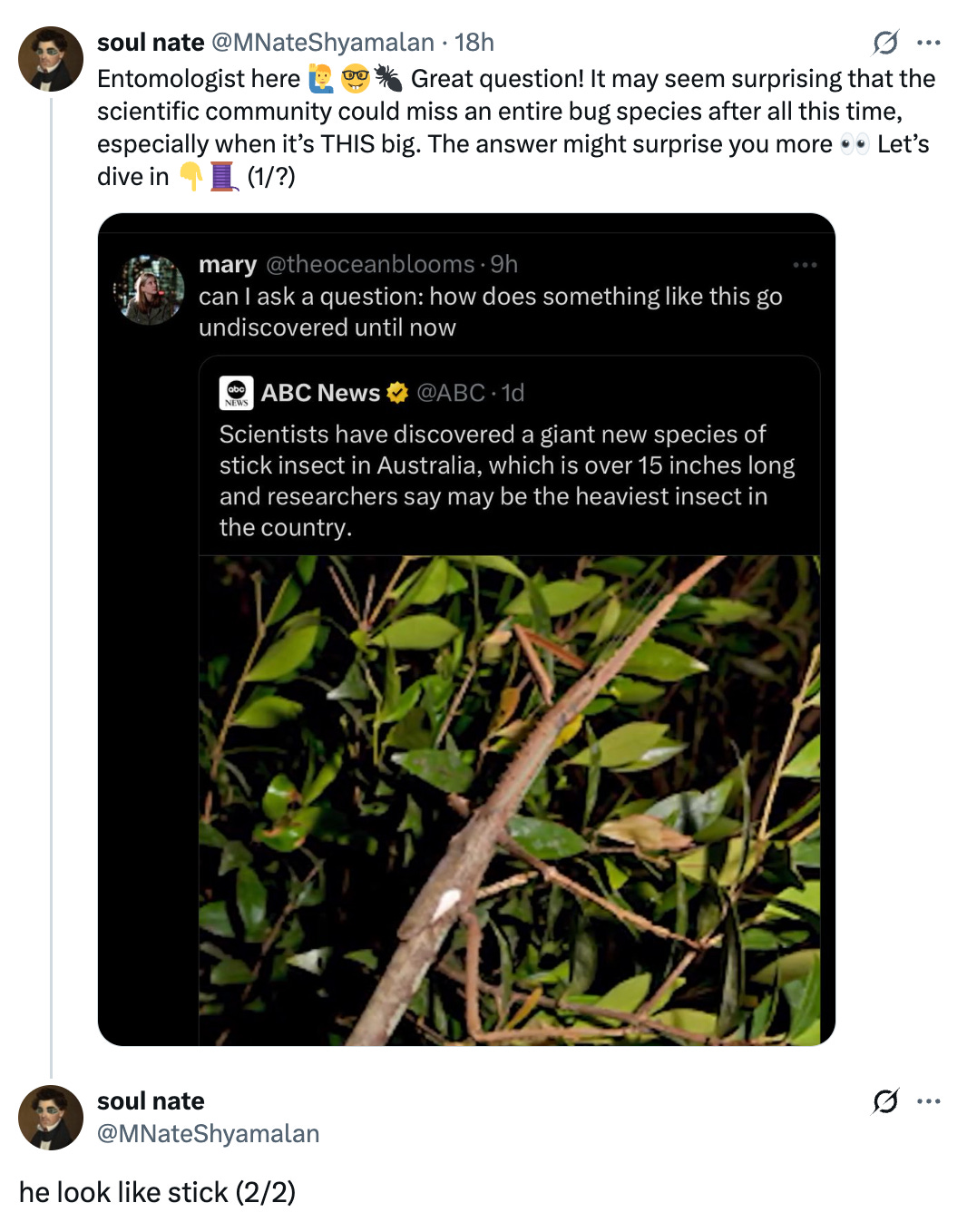   See new posts Conversation soul nate @MNateShyamalan · 18h Entomologist here 🙋‍♂️🤓🐜 Great question! It may seem surprising that the scientific community could miss an entire bug species after all this time, especially when it’s THIS big. The answer might surprise you more 👀 Let’s dive in 👇🧵 (1/?) soul nate @MNateShyamalan he look like stick (2/2)