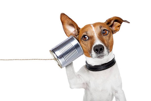 46,400+ Funny Listen Stock Photos, Pictures & Royalty-Free Images - iStock 46,400+ Funny Listen Stock Photos, Pictures & Royalty-Free Images - iStock
