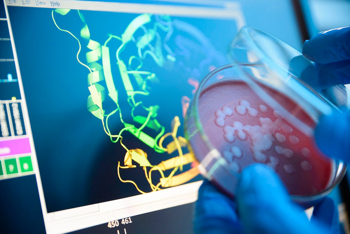 An agar plate in front of a computer screen showing the structure of a protein. An agar plate in front of a computer screen showing the structure of a protein.