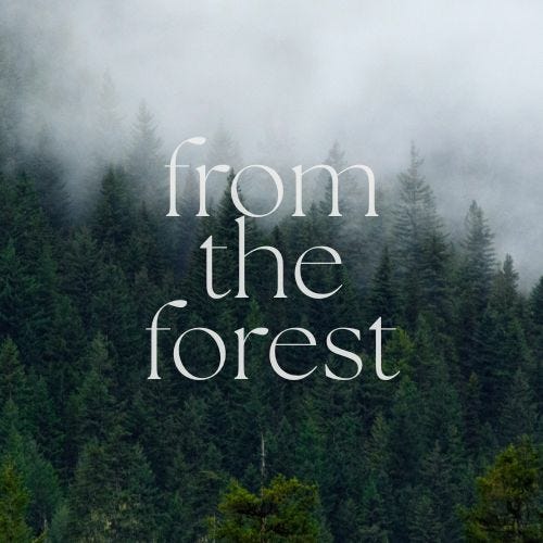 From the Forest