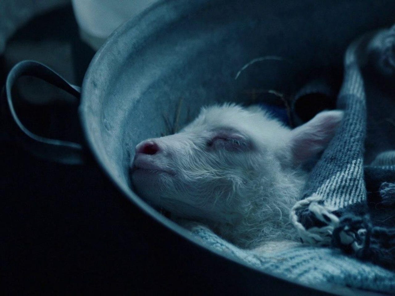 Still from the movie Lamb