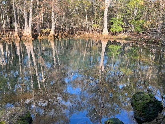 Manatee Spring water.
