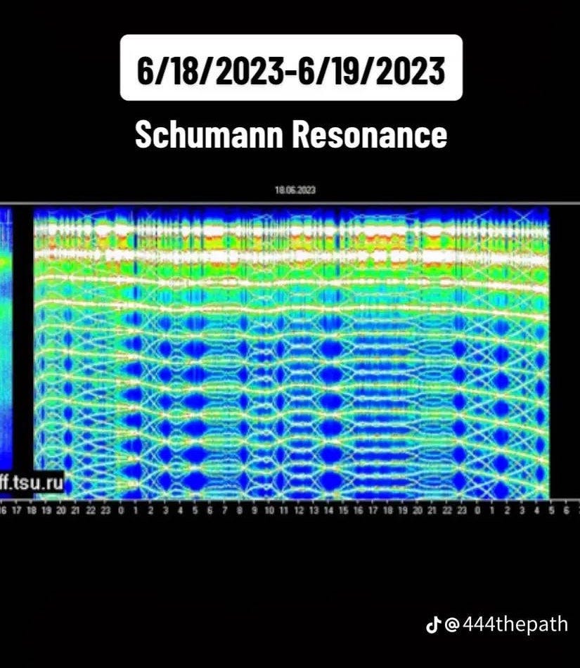 Good Vibrations? The Strange Activity of the Schumann Resonance