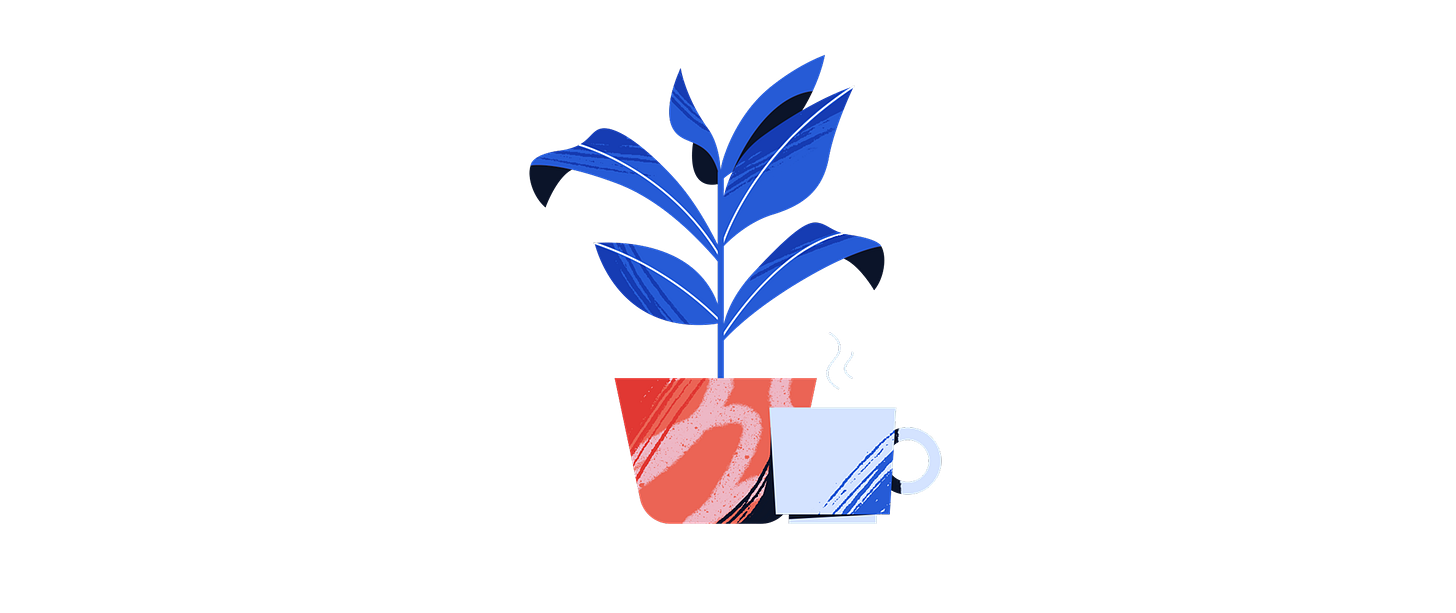 A plant and a cup of coffe on a white background