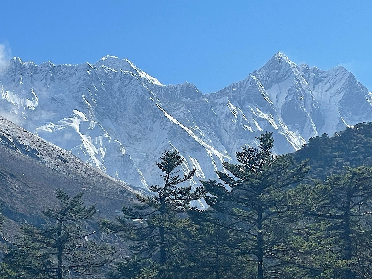 We could see Everest from the yard!