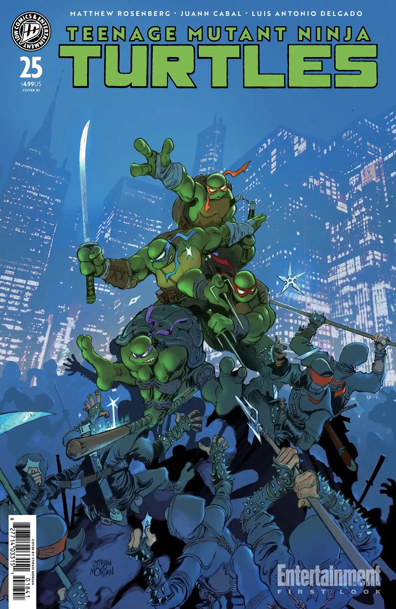 Teenage Mutant Ninja Turtles #25 cover