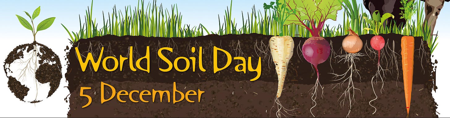 Illustration zum World Soil Day am 5. Dezember: Ein aufgeschnittener Bodenquerschnitt mit Gras an der Oberfläche, sichtbaren Wurzeln und verschiedenen Gemüsesorten (u. a. Rübe, Zwiebel, Karotte) im Erdreich; links ein Symbol mit Pflanze und Wurzelsystem, mittig der Schriftzug „World Soil Day – 5 December“.