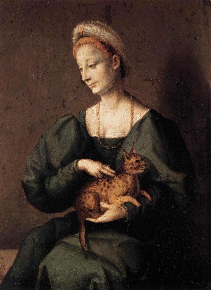 "Woman with a Cat" by Francesco Bacchiacca