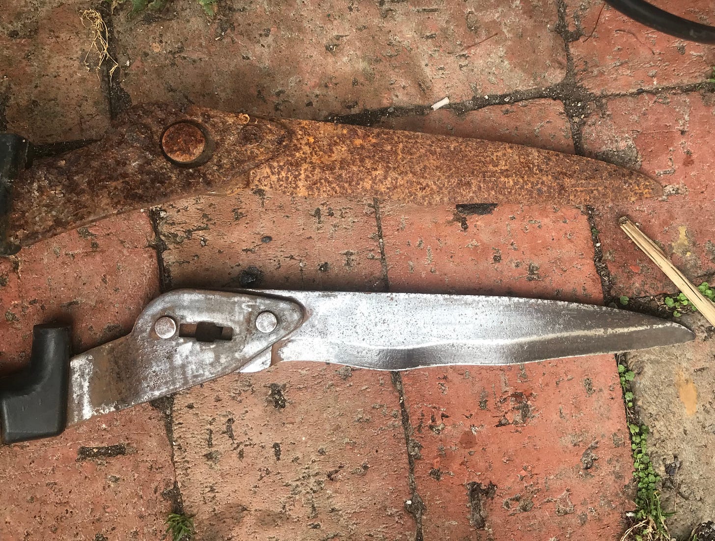 shears loppers secateurs garden tool sharpening maintenance wellington
