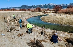 Stream Restoration