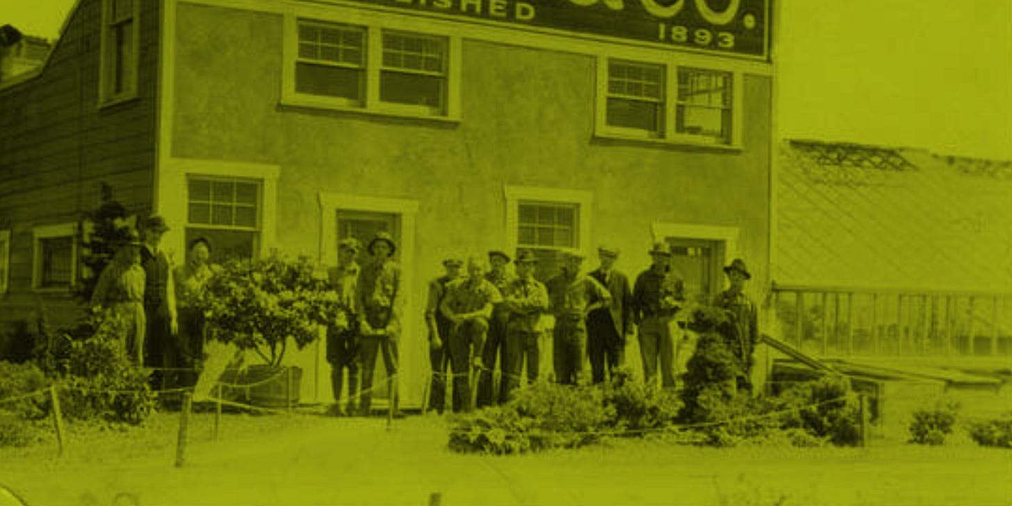 workers at a garden center two toned neon filter applied