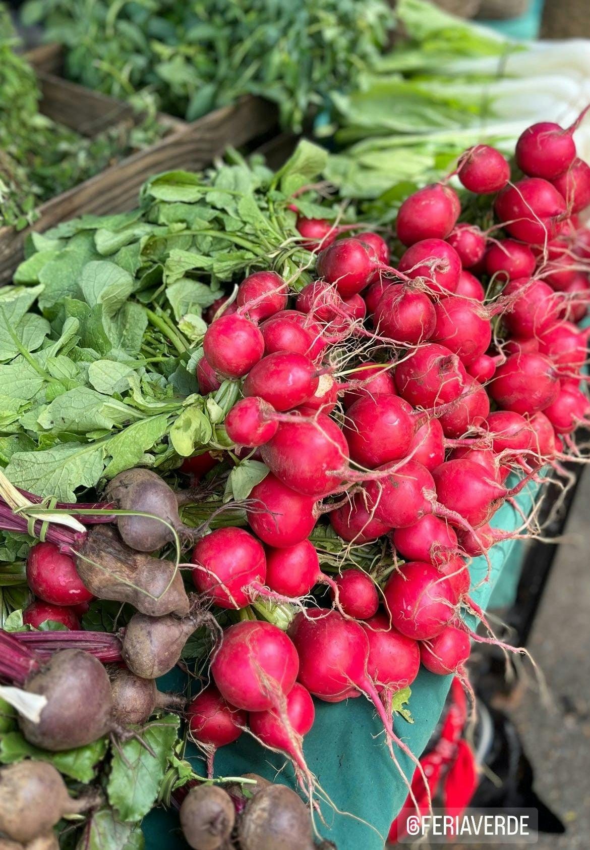 044: Walking the Path 044: Walking the Path