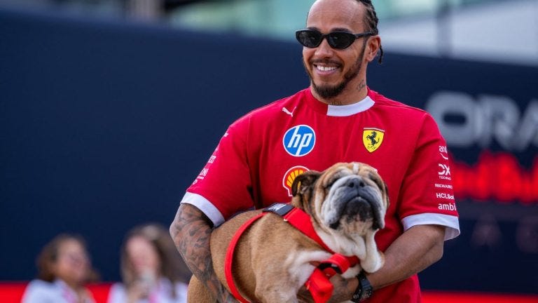 Lewis Hamilton says death of his dog Roscoe 'one of the most painful  experiences' - Sportsnet.ca