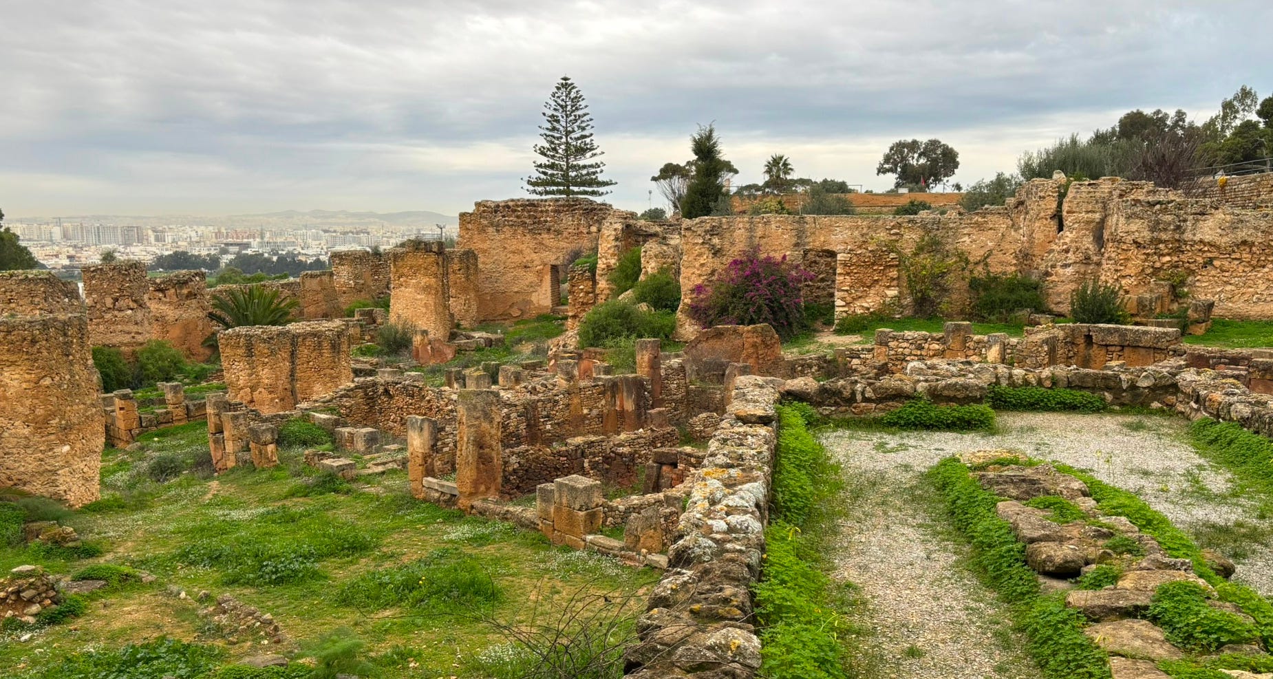 Byrsa Hill: Standing at the Center of Carthage History