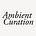 Ambient Curation's avatar
