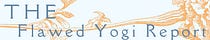 The Flawed Yogi Report