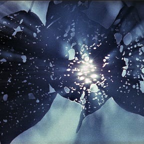 Fragments of Light