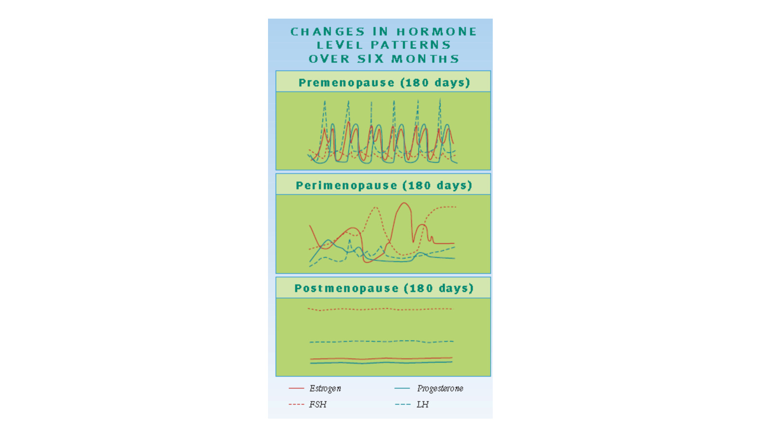 Menopause Is One Day. Postmenopause Is Decades.