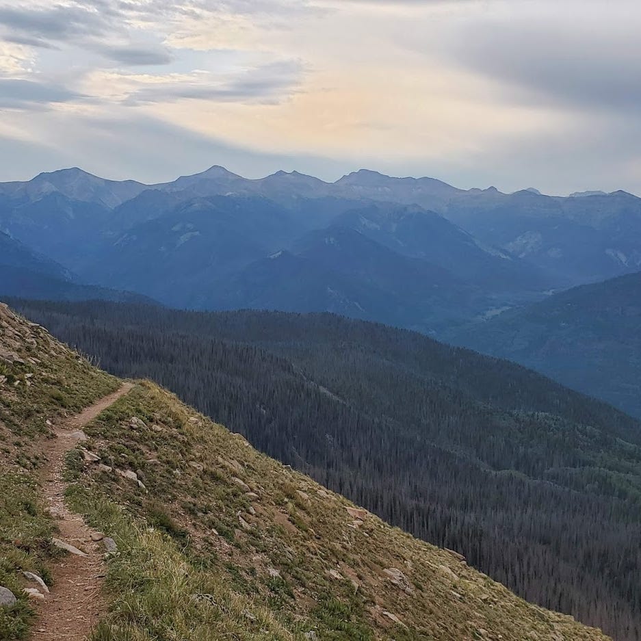 Reflections on The Long Walk Home