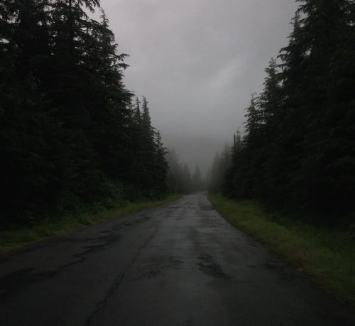 A morose grey sky highlights a rain-swept stretch of bare road, surrounded by trees.