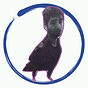 Shalom Zafrany's avatar