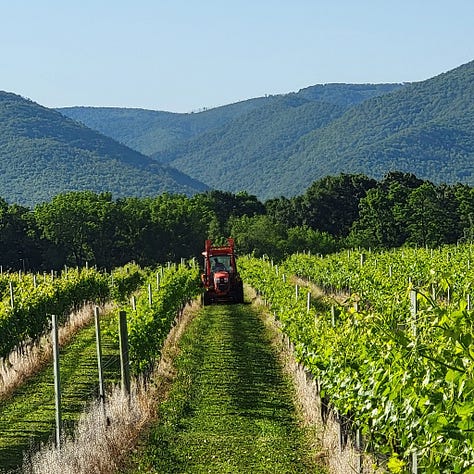 Brix & Columns Vineyards