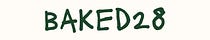 Baked28