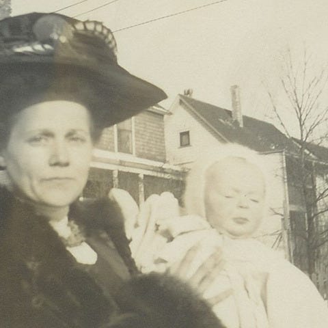 Family Histories in Perspective