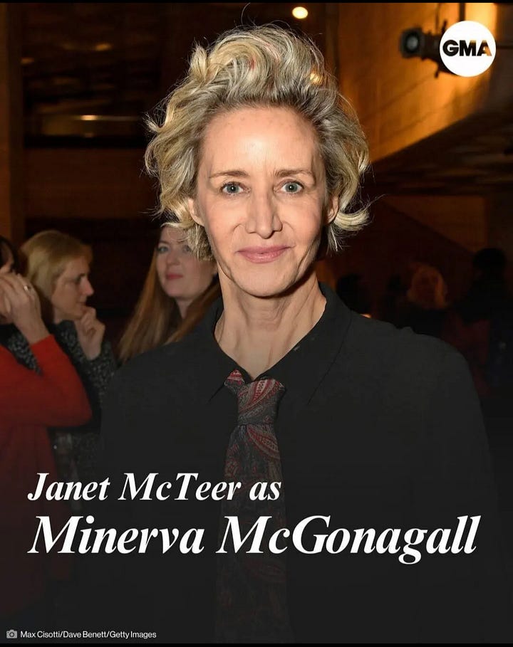 Major Roles in new Harry Potter TV series