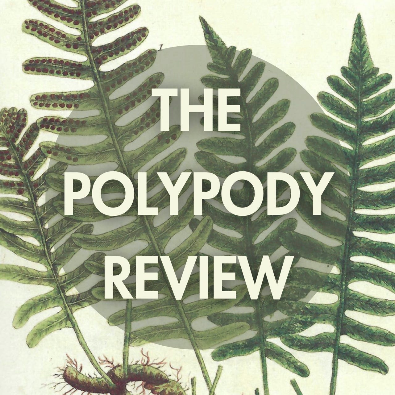 The Polypody Review
