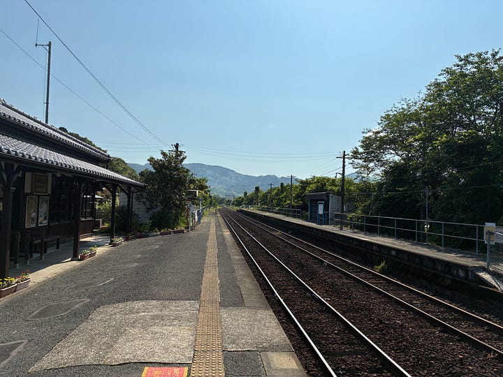 A unrinal with a hydrangea plant on top, a rural Japanese station