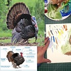 Foundation Workshop No. 13: Draw, Ink, Paint