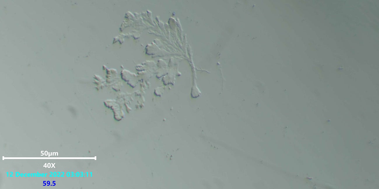 Swab Hydrogel, visual analysis of delivery system