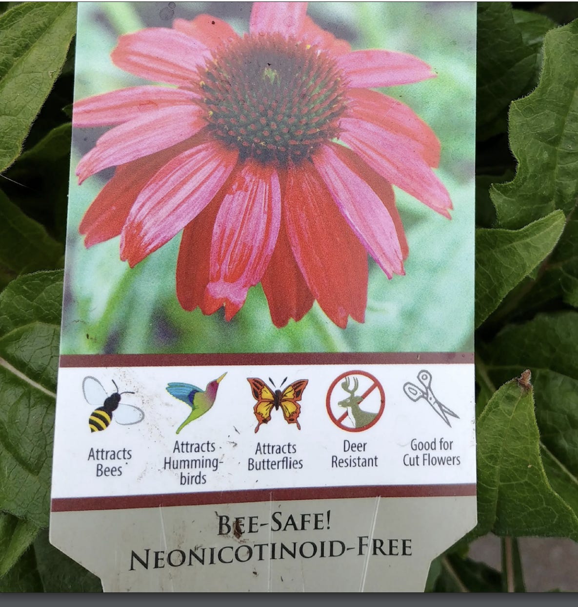 Image of neonicotinoid-free label