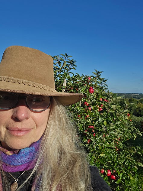 Kent orchards, Sussex coast, Old Hastings & Dungeness