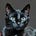 Greg Surprenant's avatar