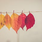 Thiết Kế Thói Quen Ôn Tập Giãn Cách 