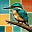 Jay Kingfisher's avatar
