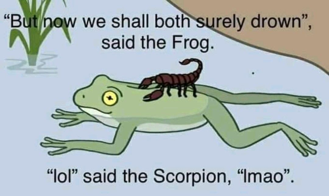 No alternative text description for this image