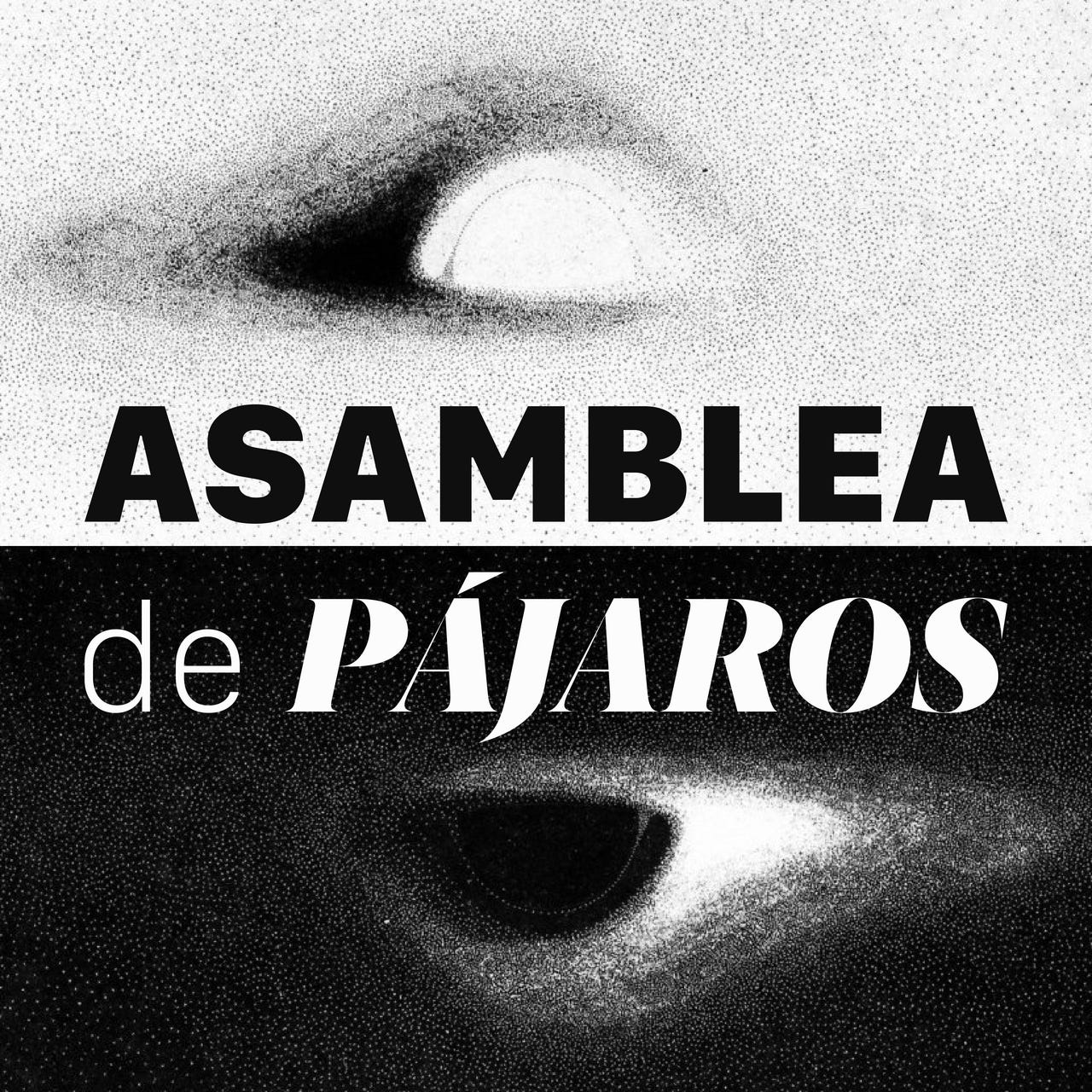 Asamblea de Pájaros