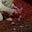 هِـبة's avatar