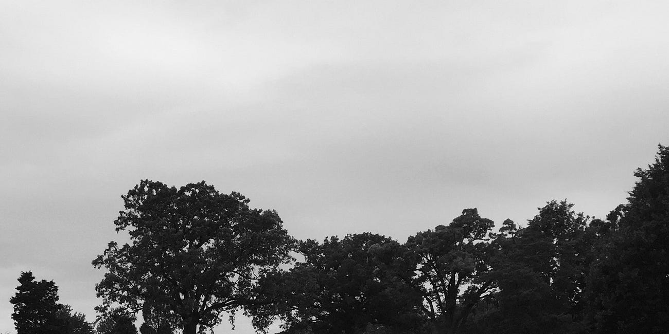 The Lottery of Girlhood: Groomed Before Epstein, Before Weinstein